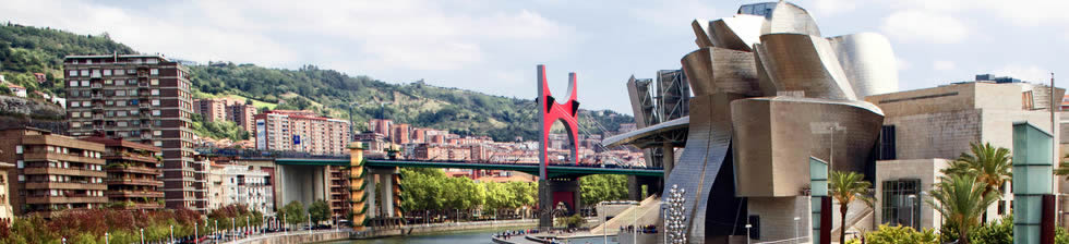 Bilbao Airport Shuttle