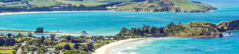 Dunedin Airport Shuttle