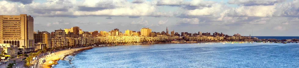 Alexandria Airport Shuttle