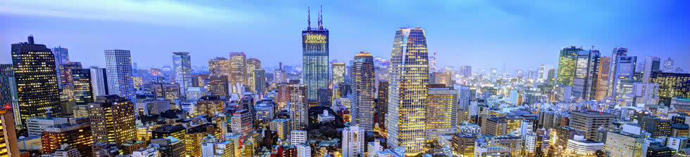 Tokyo Airport Shuttle