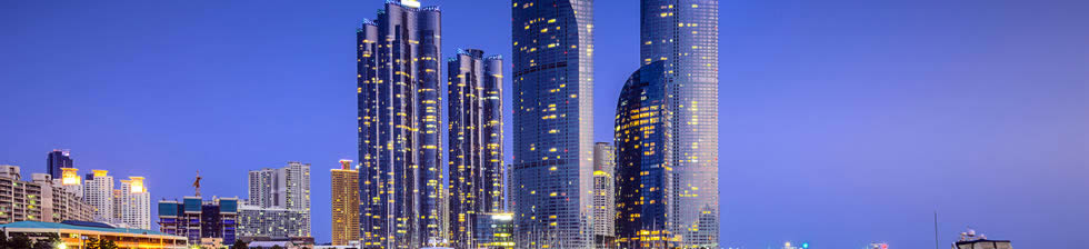 Seoul Airport Shuttle