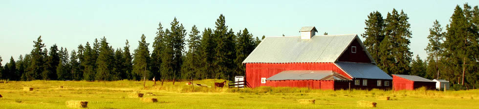Kearney Airport Shuttle