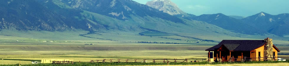 Livingston Airport Shuttle