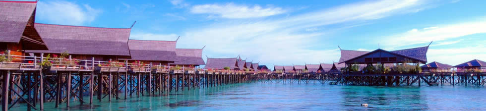 Nadi Airport Shuttle