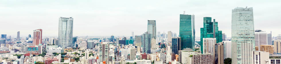 Tokoname Airport Shuttle