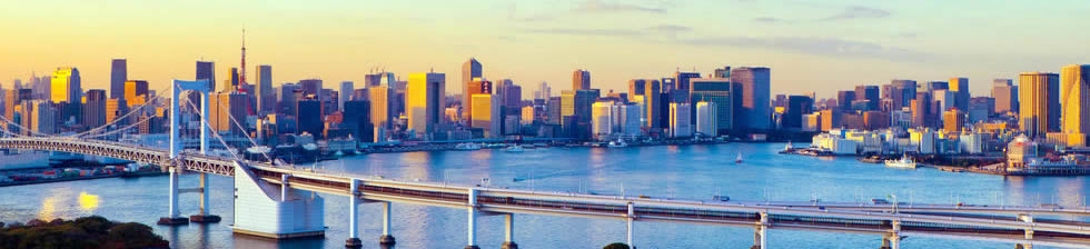 Tokyo Airport Shuttle