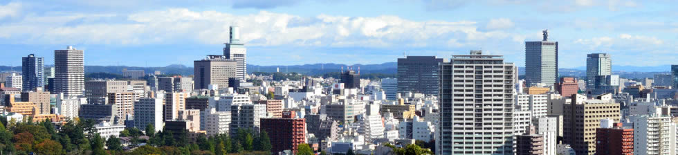 Natori Airport Shuttle