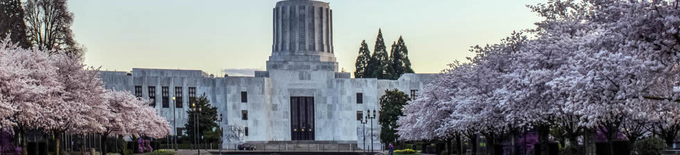 Salem Airport Shuttle