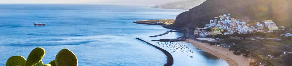 Tenerife North Airport Shuttle