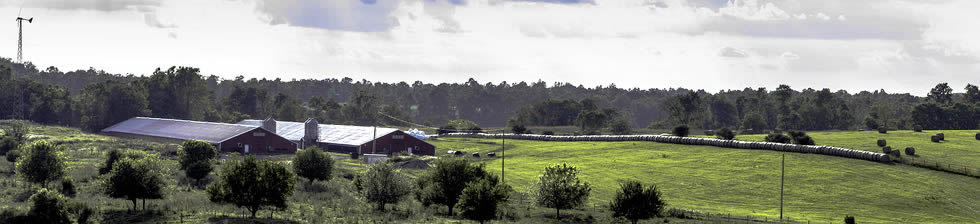 Youngstown Airport Shuttle
