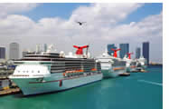 Cruise Ship Transfers
